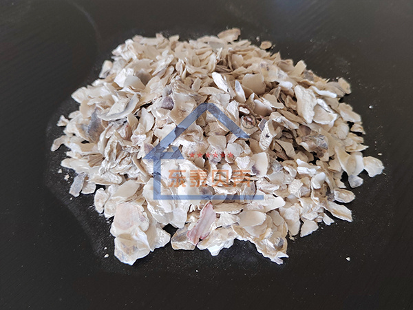 天津牡蛎颗粒0.6-1.2cm